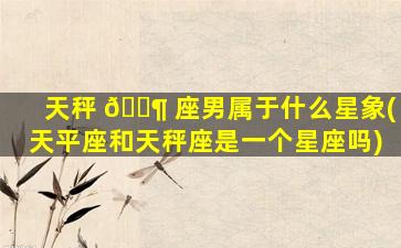 天秤 🐶 座男属于什么星象(天平座和天秤座是一个星座吗)